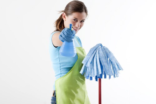 Professional carpet cleaning service in a Wandsworth home