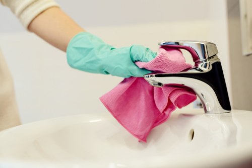 Professional cleaner in Wandsworth for home cleaning