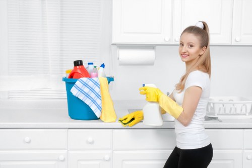 Office and workplace cleaning section