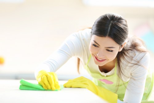 Professional cleaner focusing on detail and hygiene in a modern property