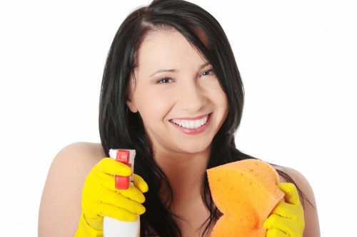 Professional window cleaners working on a Wandsworth property