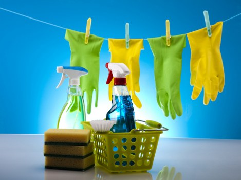Manager reviewing cleaning standards after a complaint